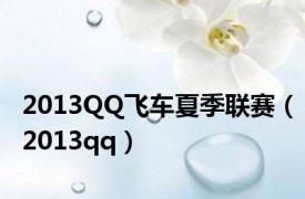 2013QQ飞车夏季联赛（2013qq）