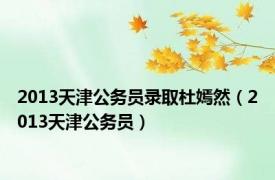 2013天津公务员录取杜嫣然（2013天津公务员）