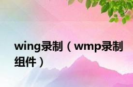 wing录制（wmp录制组件）