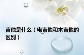 吉他是什么（电吉他和木吉他的区别）