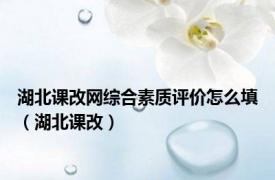 湖北课改网综合素质评价怎么填（湖北课改）