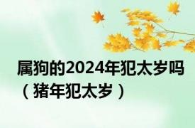 属狗的2024年犯太岁吗（猪年犯太岁）