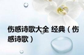 伤感诗歌大全 经典（伤感诗歌）