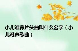 小儿难养片头曲叫什么名字（小儿难养歌曲）