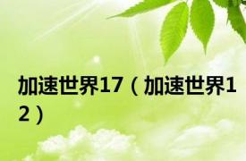 加速世界17（加速世界12）