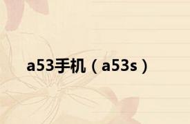 a53手机（a53s）