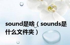 sound是啥（sounds是什么文件夹）