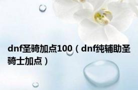 dnf圣骑加点100（dnf纯辅助圣骑士加点）