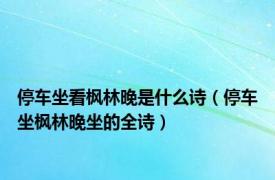 停车坐看枫林晚是什么诗（停车坐枫林晚坐的全诗）