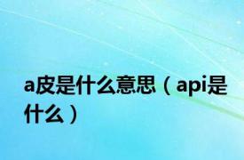 a皮是什么意思（api是什么）