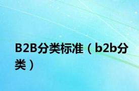 B2B分类标准（b2b分类）