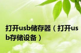 打开usb储存器（打开usb存储设备）