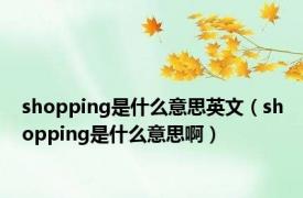 shopping是什么意思英文（shopping是什么意思啊）