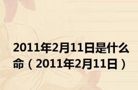 2011年2月11日是什么命（2011年2月11日）