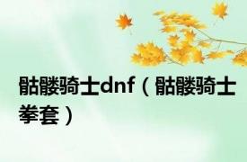 骷髅骑士dnf（骷髅骑士拳套）