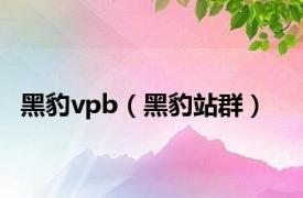 黑豹vpb（黑豹站群）