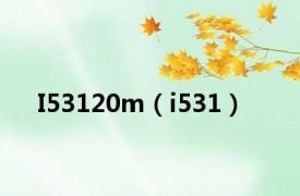 I53120m（i531）