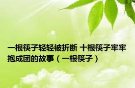 一根筷子轻轻被折断 十根筷子牢牢抱成团的故事（一根筷子）