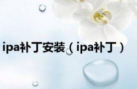 ipa补丁安装（ipa补丁）