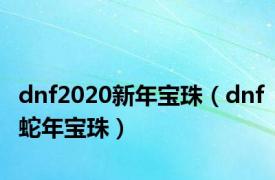 dnf2020新年宝珠（dnf蛇年宝珠）