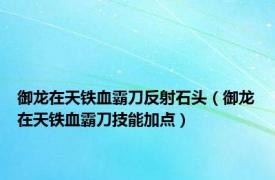 御龙在天铁血霸刀反射石头（御龙在天铁血霸刀技能加点）