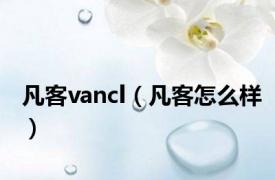 凡客vancl（凡客怎么样）