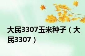 大民3307玉米种子（大民3307）