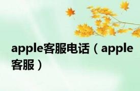 apple客服电话（apple客服）