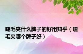 睫毛夹什么牌子的好用知乎（睫毛夹哪个牌子好）