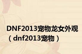 DNF2013宠物龙女外观（dnf2013宠物）