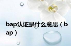 bap认证是什么意思（bap）