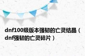 dnf100级版本强韧的亡灵结晶（dnf强韧的亡灵碎片）