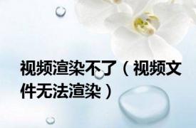 视频渲染不了（视频文件无法渲染）