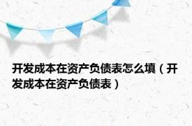 开发成本在资产负债表怎么填（开发成本在资产负债表）