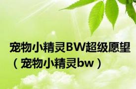 宠物小精灵BW超级愿望（宠物小精灵bw）