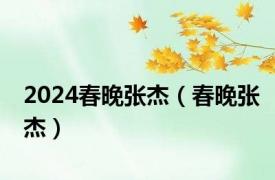 2024春晚张杰（春晚张杰）