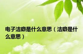 电子洁癖是什么意思（洁癖是什么意思）