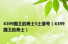 4399国王的勇士5土豪号（4399国王的勇士）