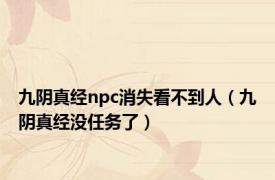 九阴真经npc消失看不到人（九阴真经没任务了）