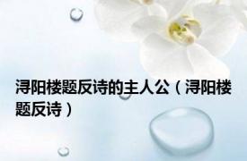 浔阳楼题反诗的主人公（浔阳楼题反诗）