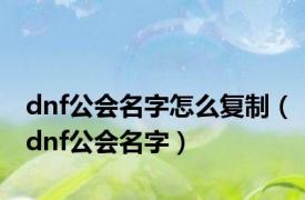 dnf公会名字怎么复制（dnf公会名字）