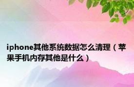 iphone其他系统数据怎么清理（苹果手机内存其他是什么）