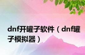 dnf开罐子软件（dnf罐子模拟器）