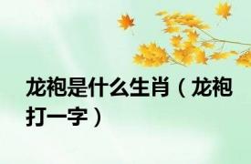 龙袍是什么生肖（龙袍打一字）