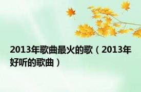 2013年歌曲最火的歌（2013年好听的歌曲）