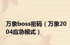 万象boss密码（万象2004应急模式）