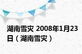 湖南雪灾 2008年1月23日（湖南雪灾）