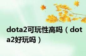 dota2可玩性高吗（dota2好玩吗）