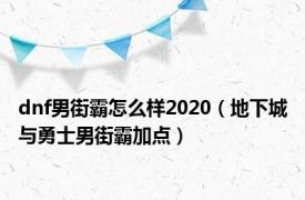 dnf男街霸怎么样2020（地下城与勇士男街霸加点）