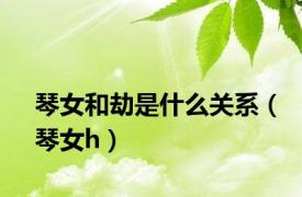 琴女和劫是什么关系（琴女h）